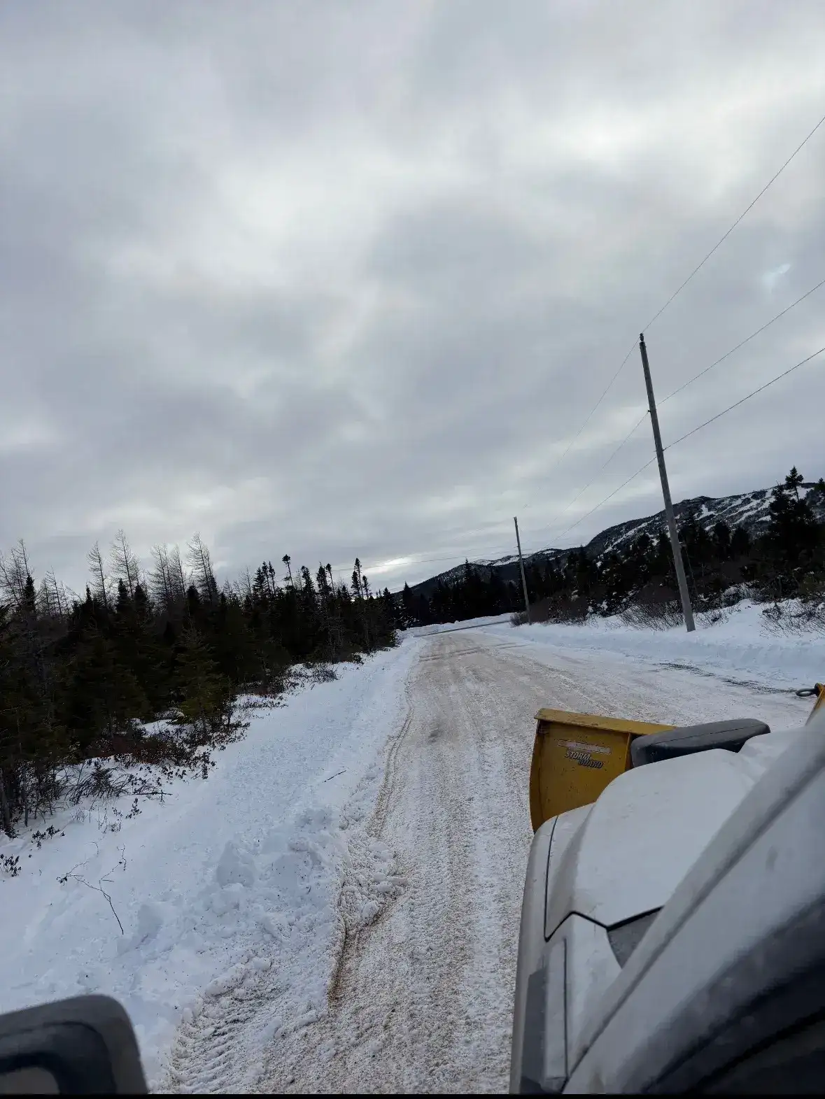 White Wolf Landscaping and Excavation | Clarenville, NL | Lawn Care and Landscaping